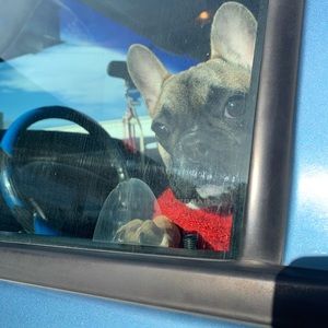 Meet your Posher, Liliana